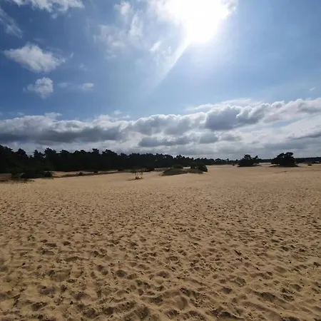 Fenced Backyard With Covered Porch And Free Bikes シャレー Doornspijk