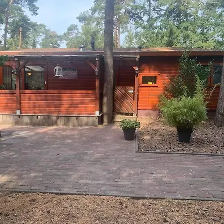 Fenced Backyard With Covered Porch And Free Bikes Chalet Doornspijk