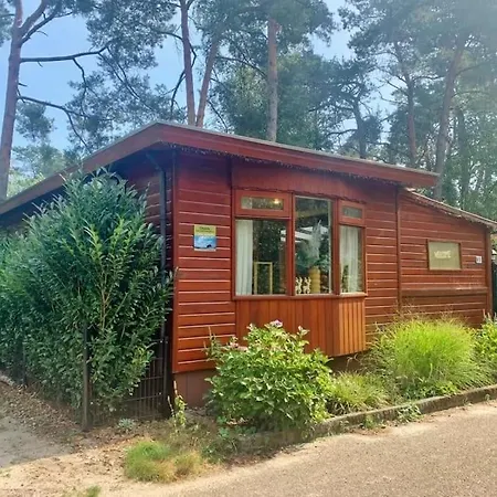 Fenced Backyard With Covered Porch And Free Bikes Chalet