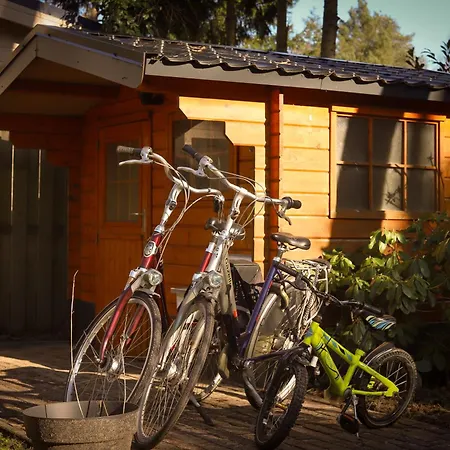 Fenced Backyard With Covered Porch And Free Bikes