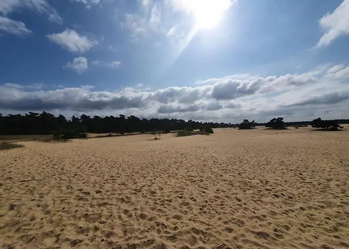 Fenced Backyard With Covered Porch And Free Bikes Chalet Doornspijk