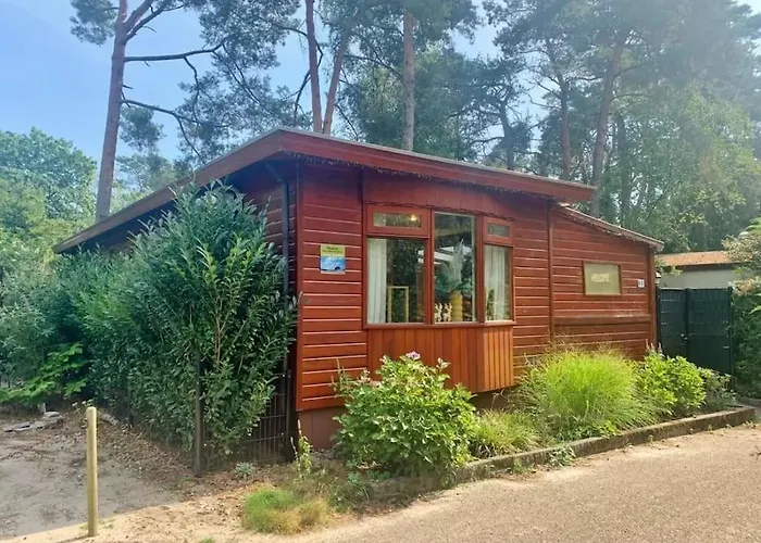 Fenced Backyard With Covered Porch And Free Bikes Chalet