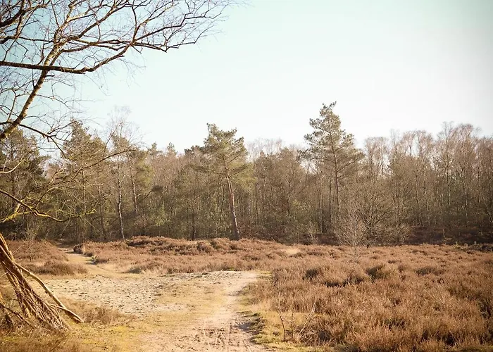 Chalet Fenced Backyard With Covered Porch And Free Bikes *