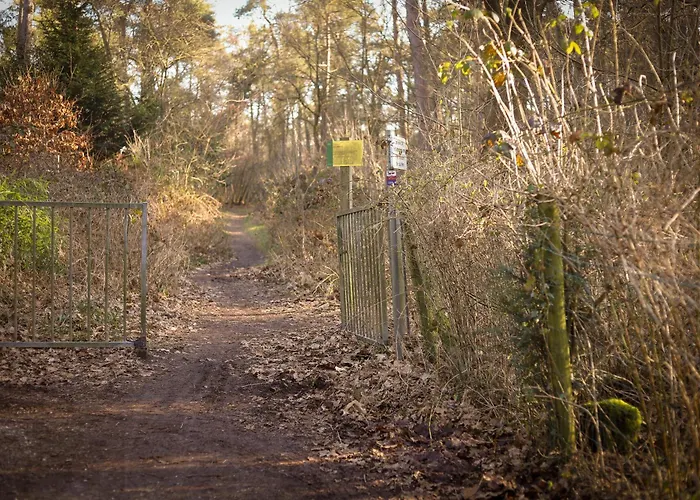 Fenced Backyard With Covered Porch And Free Bikes *