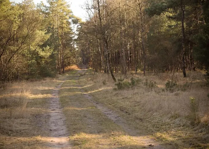 Fenced Backyard With Covered Porch And Free Bikes * Doornspijk