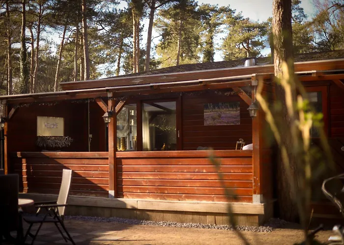 Fenced Backyard With Covered Porch And Free Bikes Chalet