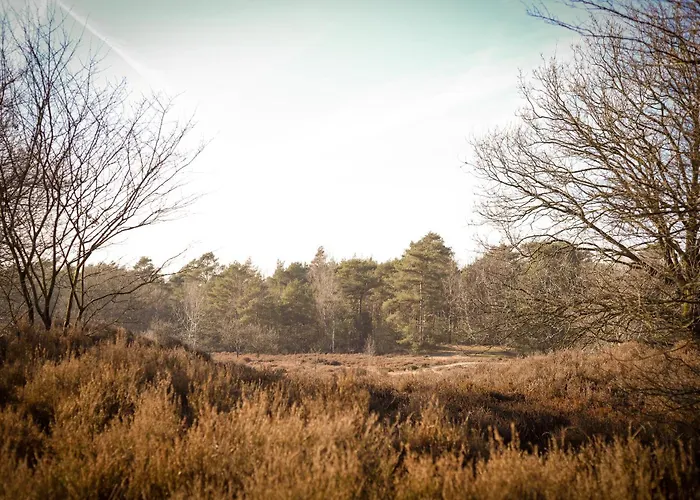 Chalet Fenced Backyard With Covered Porch And Free Bikes *