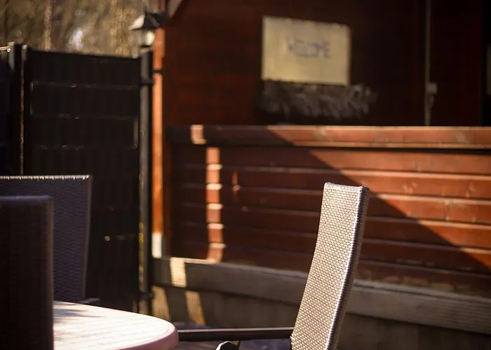 Fenced Backyard With Covered Porch And Free Bikes Chalet Doornspijk