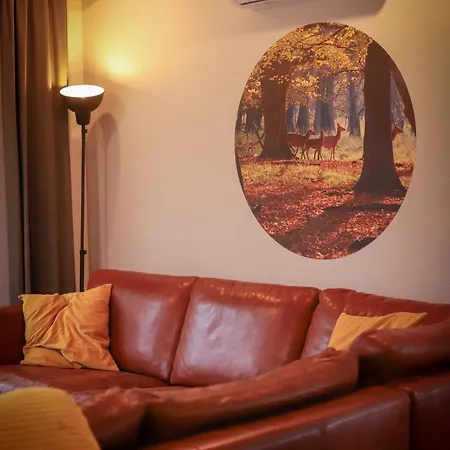 Fenced Backyard With Covered Porch And Free Bikes *