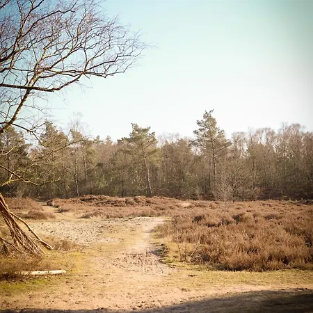 בקתה Fenced Backyard With Covered Porch And Free Bikes *