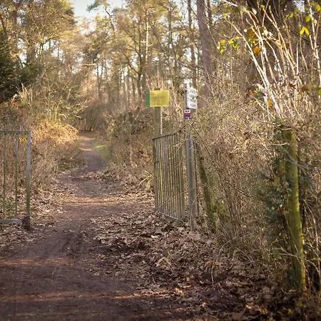 Fenced Backyard With Covered Porch And Free Bikes *