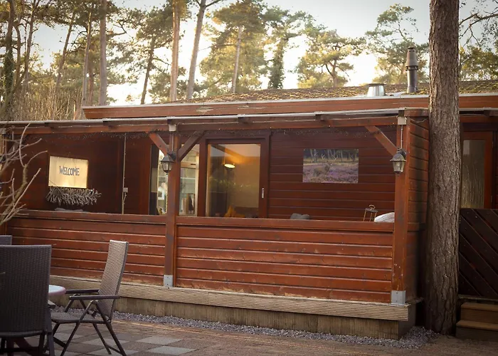 Fenced Backyard With Covered Porch And Free Bikes Chalet