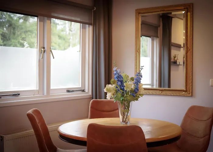 Fenced Backyard With Covered Porch And Free Bikes Chalet Doornspijk