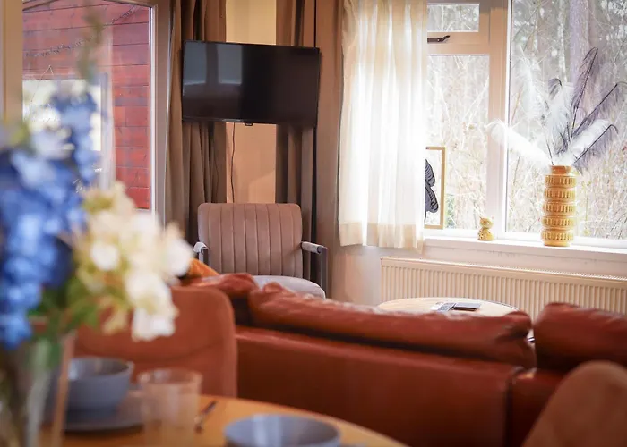 Fenced Backyard With Covered Porch And Free Bikes * Doornspijk