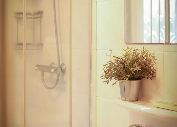 Fenced Backyard With Covered Porch And Free Bikes Doornspijk
