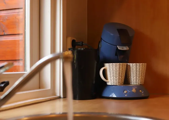 Fenced Backyard With Covered Porch And Free Bikes Doornspijk