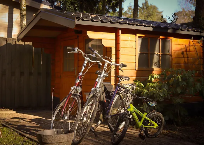 Fenced Backyard With Covered Porch And Free Bikes